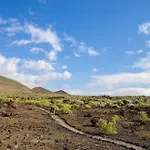 Palmeras