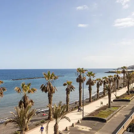 Palmeras アパート *