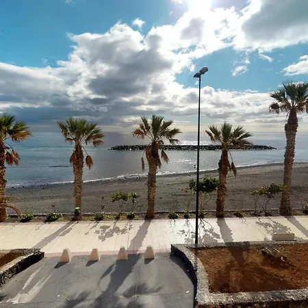 Palmeras プエルティト・デ・グイマル