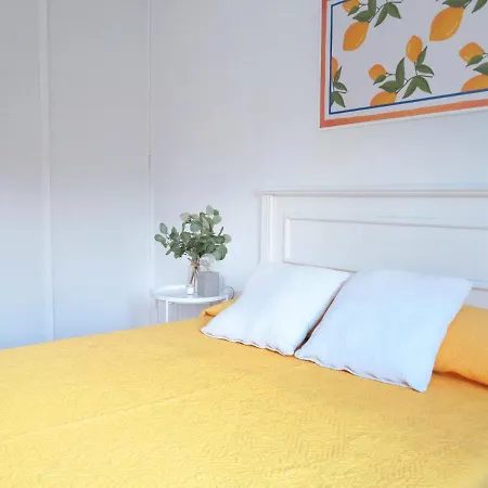 Palmeras プエルティト・デ・グイマル