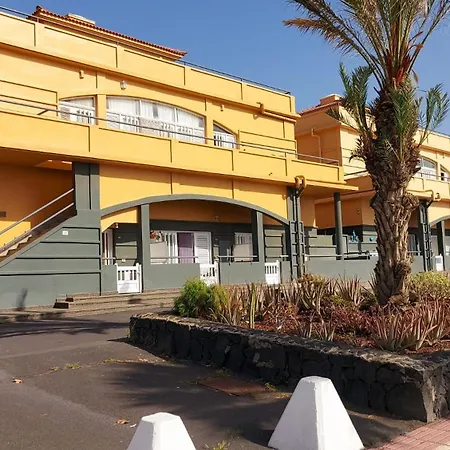 Palmeras * プエルティト・デ・グイマル